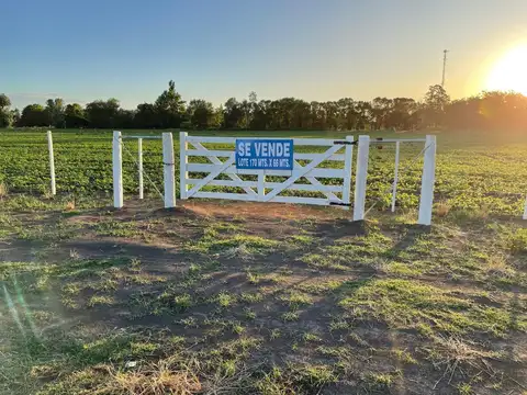 Excepcionales terrenos en Carlos Casares