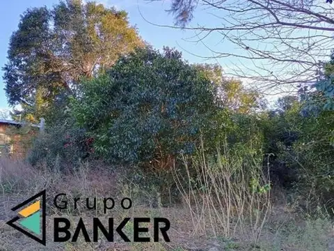 Los Espinillos Esquina Carqueja 900