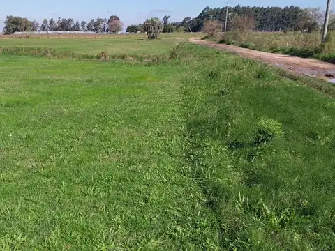 Terreno en Venta en Colonia Carolina, USD 9.500