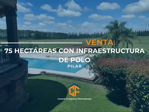 HARAS EN PILAR DE NIVEL CON 75 HECTÁREAS PARQUIZADAS E INFRAESTRUCTURA COMPLETA DE POLO