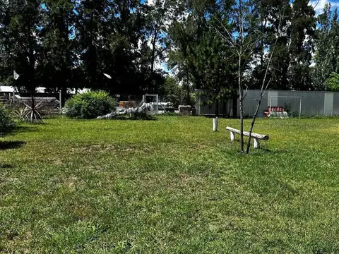 Avellaneda 135