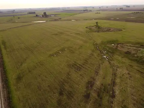 Campo en Venta de 112  ha