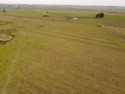 Campo en Venta de 112  ha