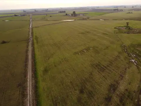 Campo en Venta Ganadero