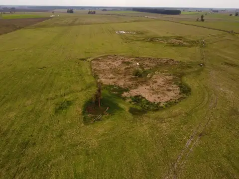 Campo en Venta Ganadero