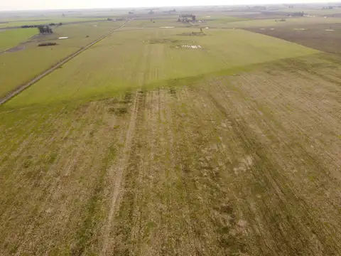 Muy buen campo agrícola en Dpto. Concordia zona El Redomón