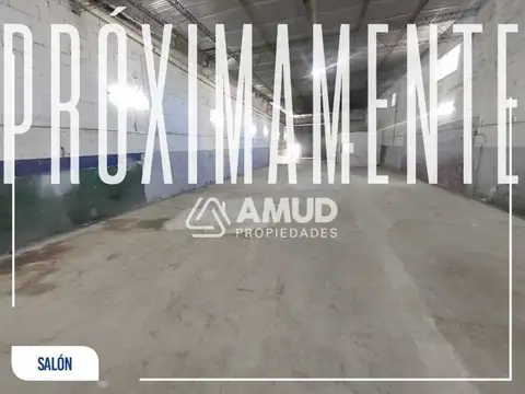 Galpon en Alquiler 32  mts Fondo