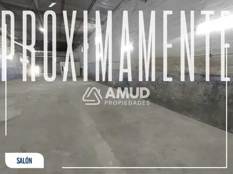 Galpon en Alquiler 9  mts Frente