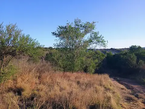 Rio Limay Esquina Rio Carcañara 115