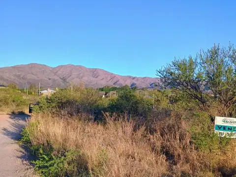 Rio Limay Esquina Rio Carcañara 115