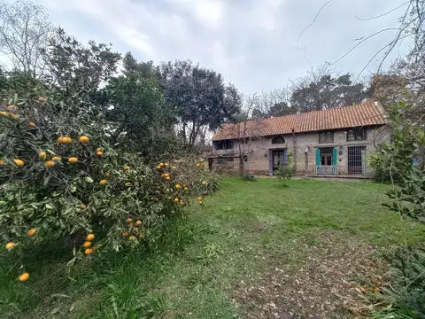 PADRE FAHY  Y SAN LORENZO