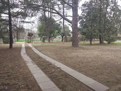 adolfo bioy casares 200