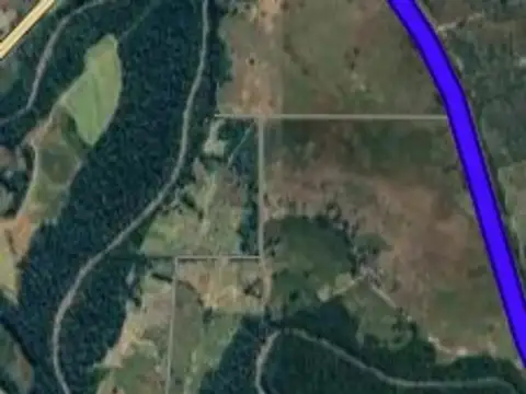 Campo Venta Formosa Ruta 11