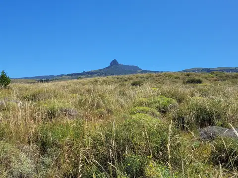 lago huechulafquen