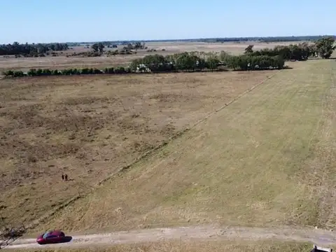 UNICA HECTAREA SOBRE SUTA 205 A 5 MIN DEL CENTRO DE CAÑUELAS