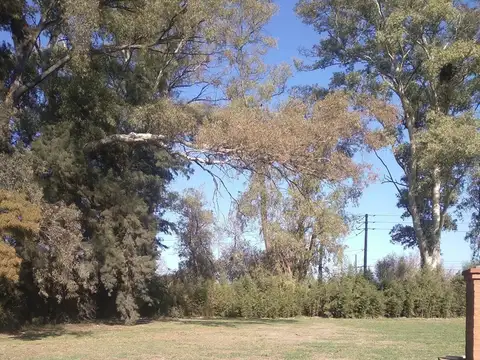 Terreno en Venta de 818,0 m2