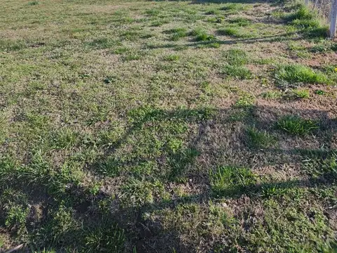 Terreno en Venta en Cañuelas, USD 28.000