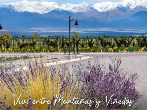 Terreno en Venta en Tupungato, USD 42.000