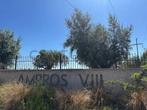 Terreno en Venta en Cruz De Piedra, USD 11.000