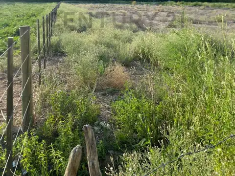 Campo en Venta de 0,40  ha