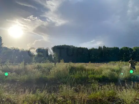 TERRENO USPALLATA