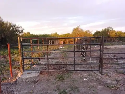 Campo ganadero 178 hectáreas Villaguay Entre Rios.