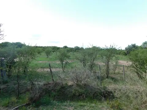 Campo 25 Has., Piedra Blanca. Merlo.
