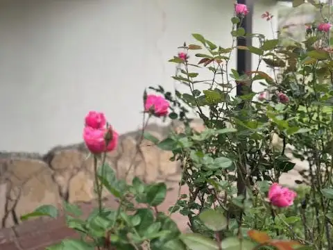 Casa en Venta en Potrerillos - Luján de Cuyo - Mendoza