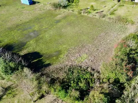Tala, Parque Jularo.