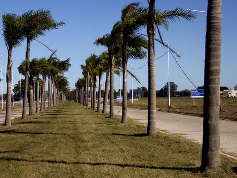 Tierra de Sueños Arroyo Seco, Rosario, Santa