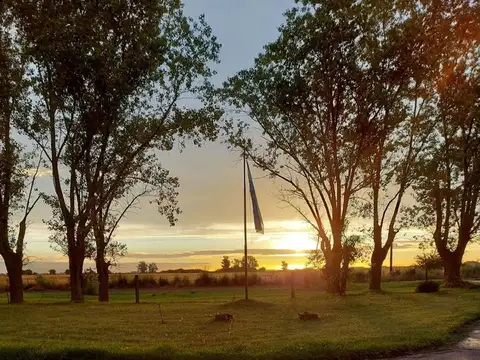 VENTA CAMPO 16 HA CON 2 CASAS Y ´PILETA  SUIPACHA