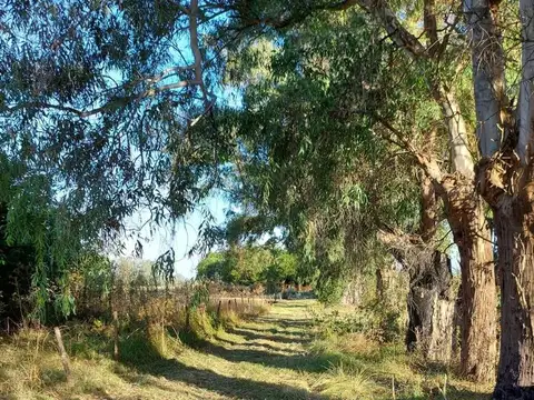 VENTA CAMPO 16 HA CON 2 CASAS Y ´PILETA  SUIPACHA
