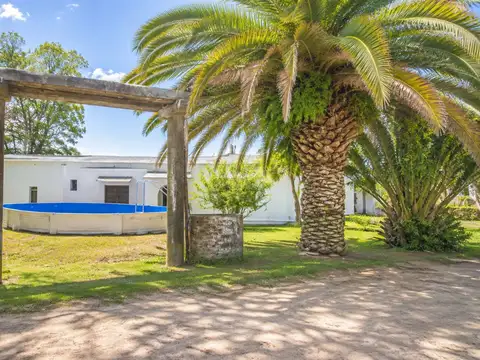 VENTA CAMPO 16 HA CON 2 CASAS Y ´PILETA  SUIPACHA