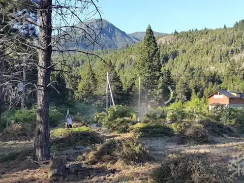 Venta de hectárea en El Hoyo - Chubut (30132)