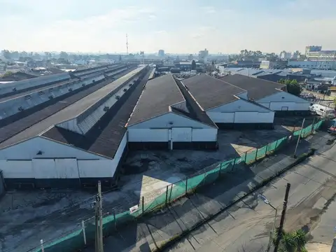 Rucci 1200