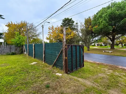 Avenida Mario Ferreira
