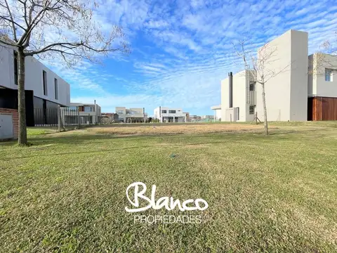 Puertos del Lago - Araucarias -