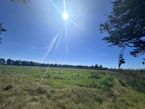 Camino Garcés 7100