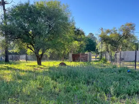 Calle los Fresnos 2600