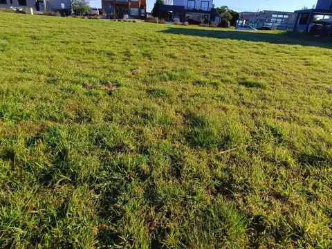 Ruta 58 Kilometro 15,5