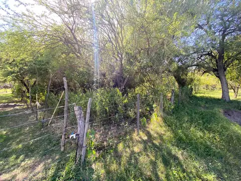 Terreno en Venta de 9992,0 m2