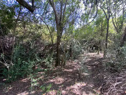 Increible Lote con bajada al arroyo en Yacanto - Traslasierras