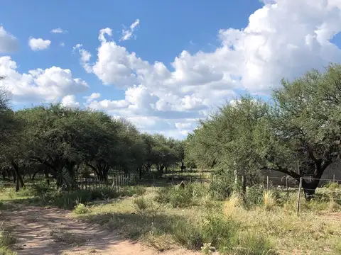 Campo en Venta Mixto