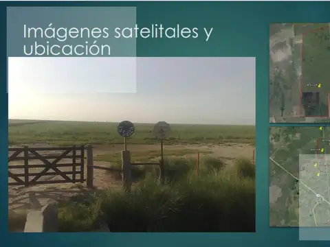 CAMPO VENTA RIVADAVIA SANTIAGO DEL ESTERO MIXTO GANADO Y PASTURA PARA CICLO COMPLETO ACEPTA DEPARTAM