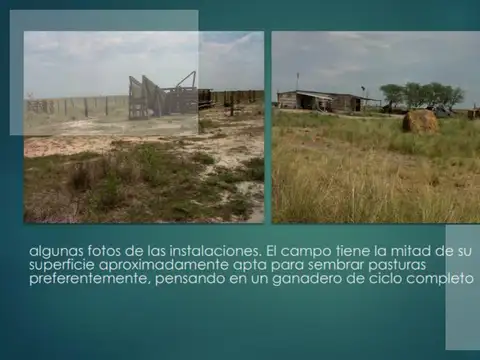 CAMPO VENTA RIVADAVIA SANTIAGO DEL ESTERO MIXTO GANADO Y PASTURA PARA CICLO COMPLETO ACEPTA DEPARTAM