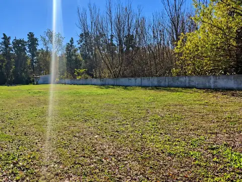 Terreno en Alquiler de 2500,0 m2