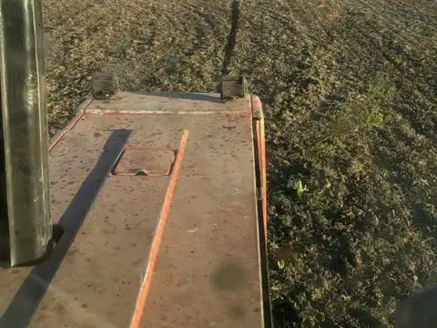 Consultar dirección