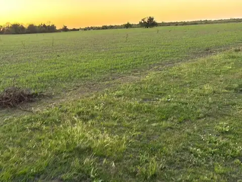 Consultar dirección