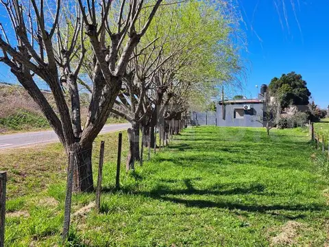 Casa - Venta - Argentina, Mercedes - RUTA 5 1405