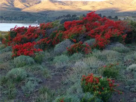 Terreno en Venta 89,60  mts Fondo